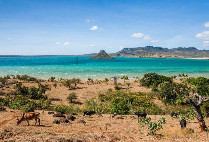 舒心之旅、尽管出发:地平线8号大旅行家拉杆箱