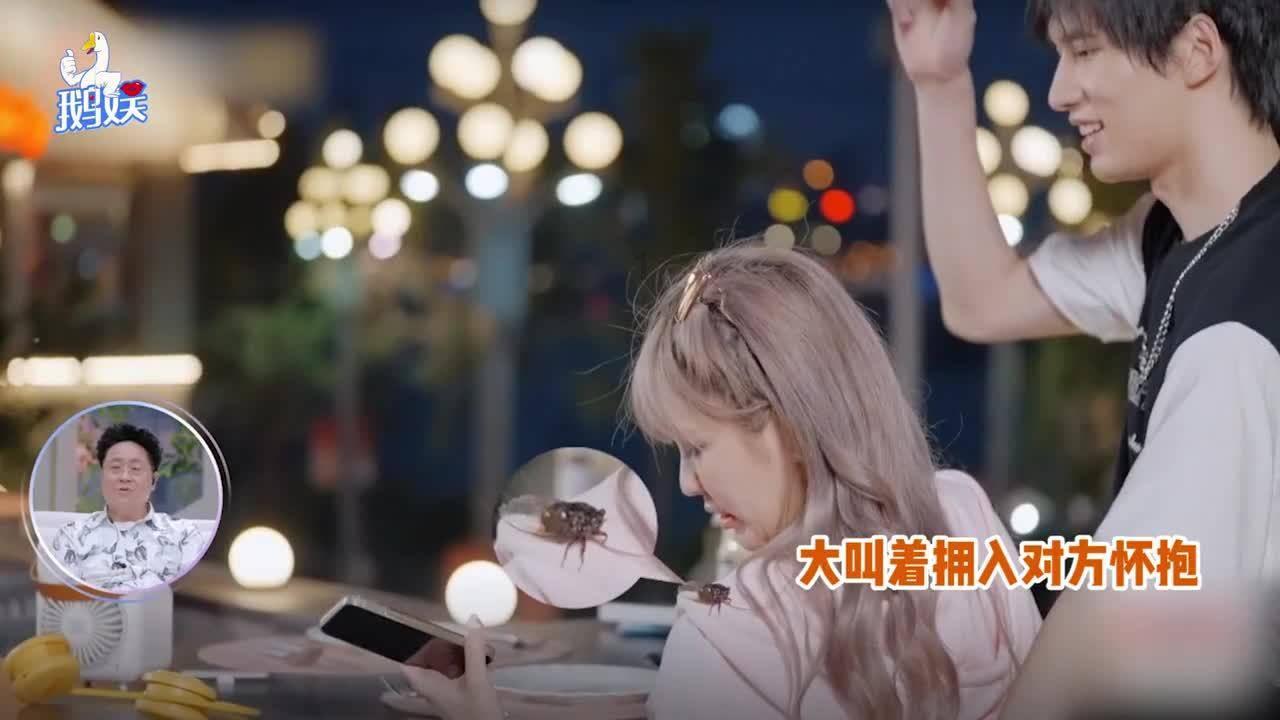 拯救小萌虎