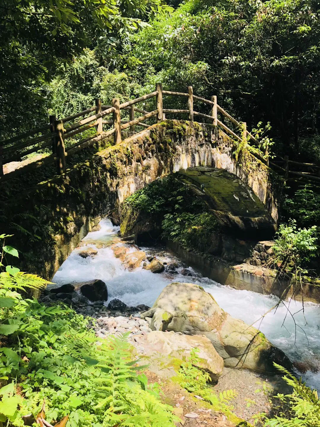 上海一女子拒不配合核酸检测被处罚,从其行为中暴露出了哪些问题?-智能问答网站